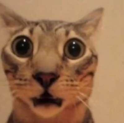 Randomly got airdropped this the other day