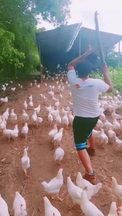 200,000 Units are ready, with a Million more well on the way.