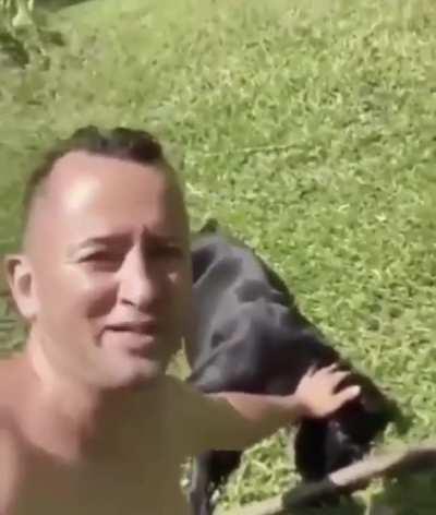 cachorrinho mais humilde