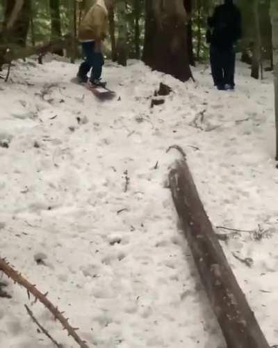 Trying to rail slide a log