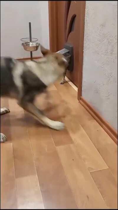 Mistakes were made....