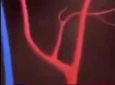 AAAAAAAAAAAAAAAAAUUUGHHHH