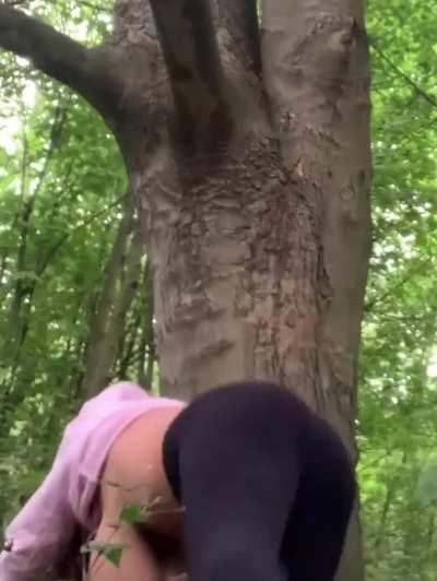 Messing around in a tree