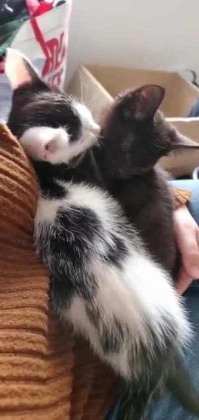 System error during bath time