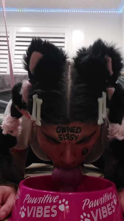 Pathetic sissyfuckmutt worships Rex's big sexy doggy cock