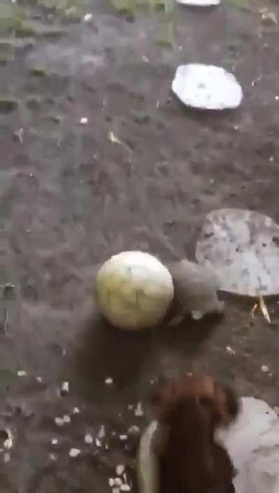 Y’all need to see this