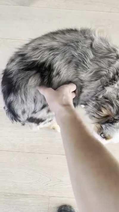 Nono, I didn’t say you were done