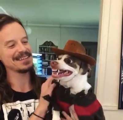 Mr. Bubz is ready for Halloween