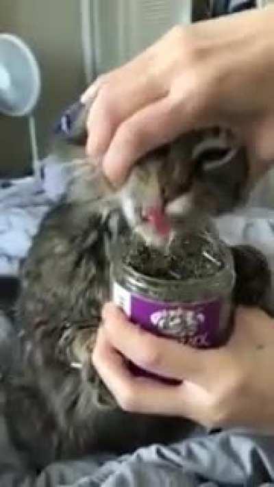 Self control, please!