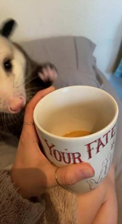 Been a rough morning for all of us I guess