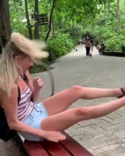 Who likes to be deceived WCGW?