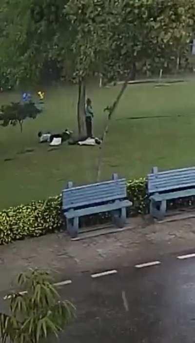 4 horsemen of stupidity