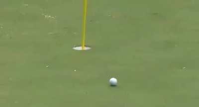 perhaps best shot in the history of golf.. we Praise The CameraMan because he managed not to lose sight of the ball, although it almost happened... it would have been a pity if it was ruined