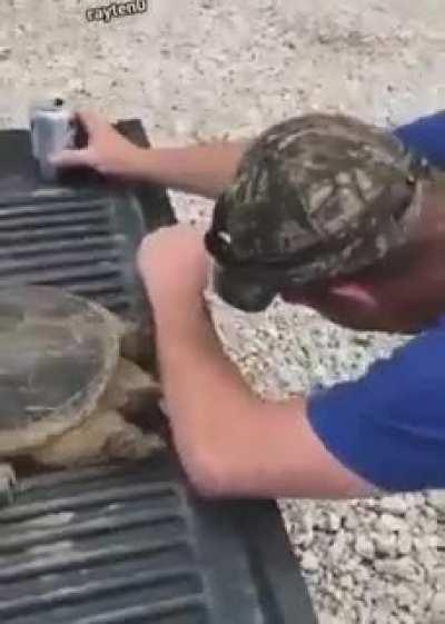 Snapping Turtle vs. Moron...