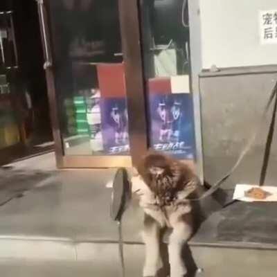 Летом хорошо)