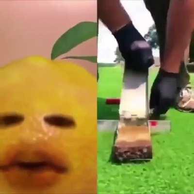 You're even annoying to the annoying orange