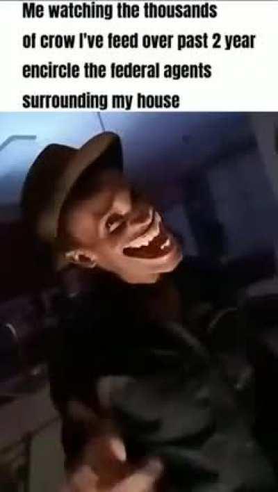 Blursed bird feeding