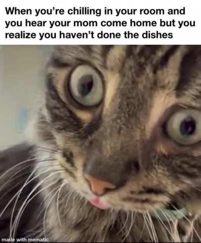 cat.exe knows it's going to be uninstalled