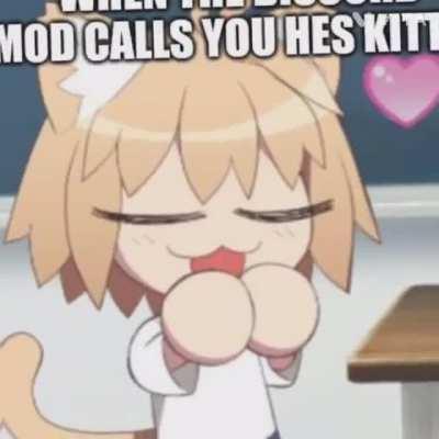 When the Discord mod calls you hes Kitten