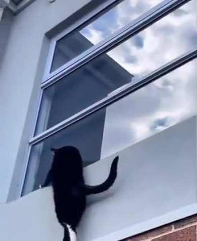 Secret agent on duty