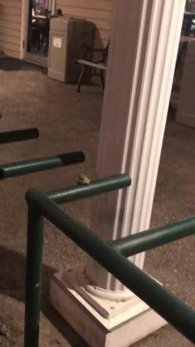 ….Just do it…….