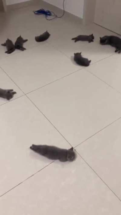 Best possible sales video for heated flooring