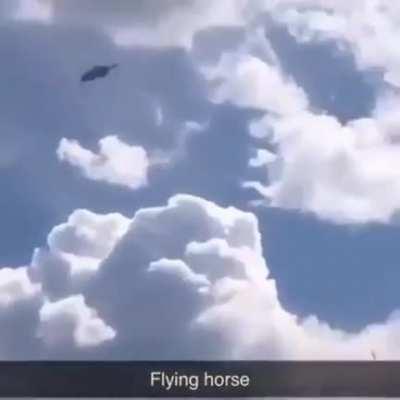 Flying horse