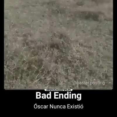 Pobre oscar