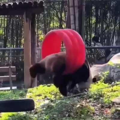 Well he's having fun