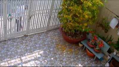 Attempted Break-In Karma