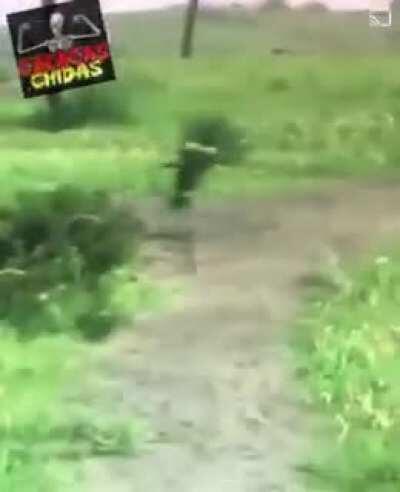 los weones k comentan zzz