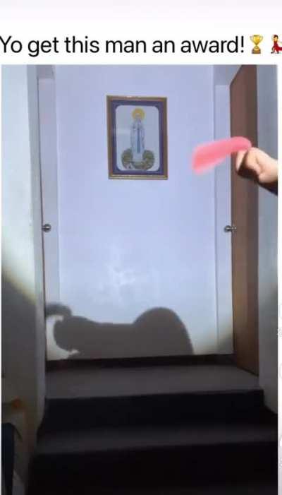 Забавная игра теней