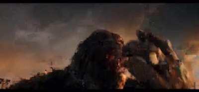 These are pretty cool bananas