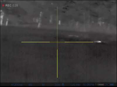 Wanna see why thermal hunting for pigs is so much fun? 