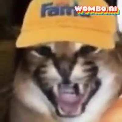 Touch me all you want Floppa. Remember tho, FLOP FO NO HO. Also no homo