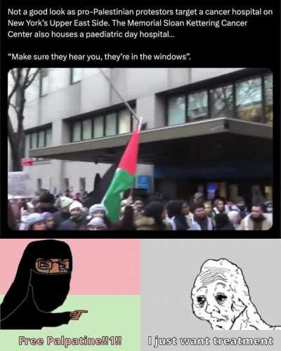 Pro-Palestinian Protesters Target Manhattan Cancer Hospital