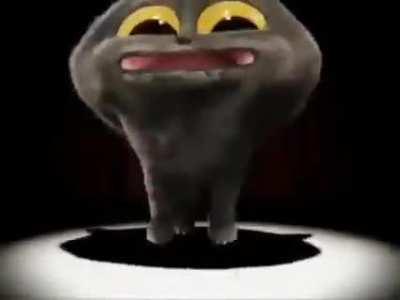 lol thIS CAT IS SO VERY CUTE WHAT IS IT SAYING I AM DEAF HEY GOOGLE WHY ARE MY LETTERS BIG NOW DO I HAVE VIRUS !!