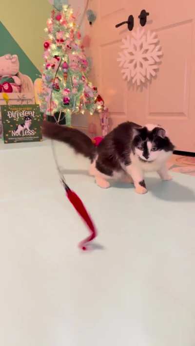 Advent calendar 1, day 18 💚❤️