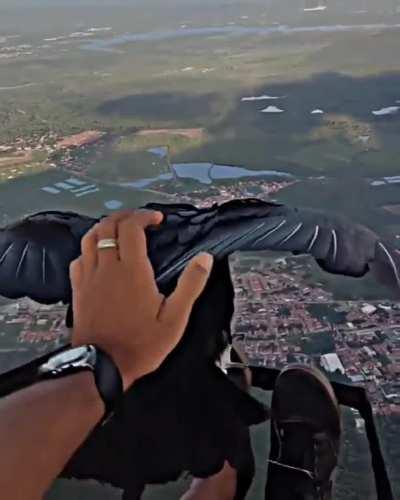 Black vulture sits on a guy's foot in a paramotor