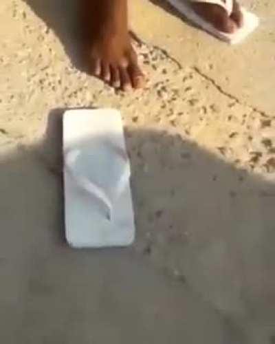 VAZO CHINELO DA CIENA