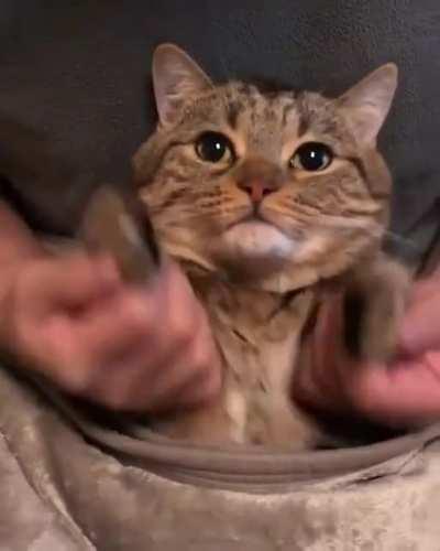 Cursed to dance for eternity