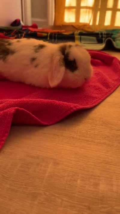First little flop