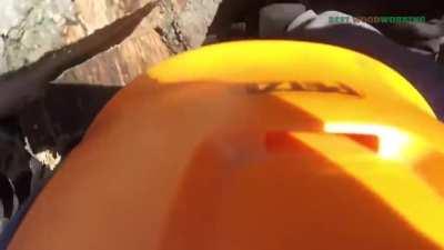 Tree hop lands man in hospital