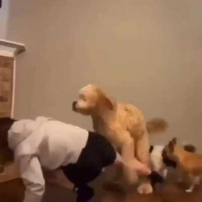 Stop dancing and take us for a stroll instead.