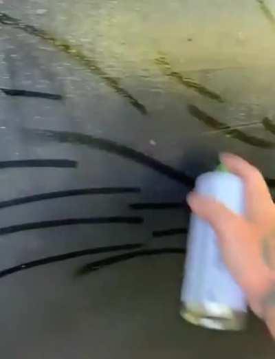 Artist draws an amazing portrait in the memory of his cat which passed away