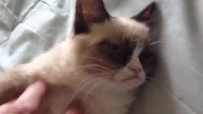 It's impossible to watch this without copying his expression