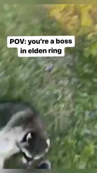 Boss POV
