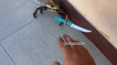 SAY YOUR PRAYERS ASSHOLE!