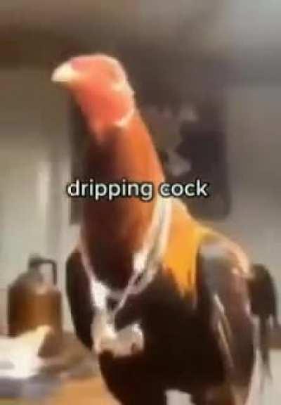 COCK DRIPPING