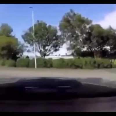 Dude Found A Portal!